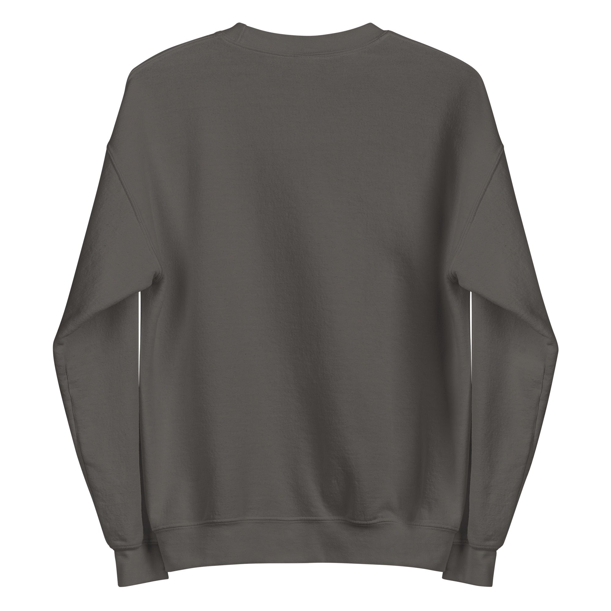 SWEATSHIRT HUBLIGO SKATER