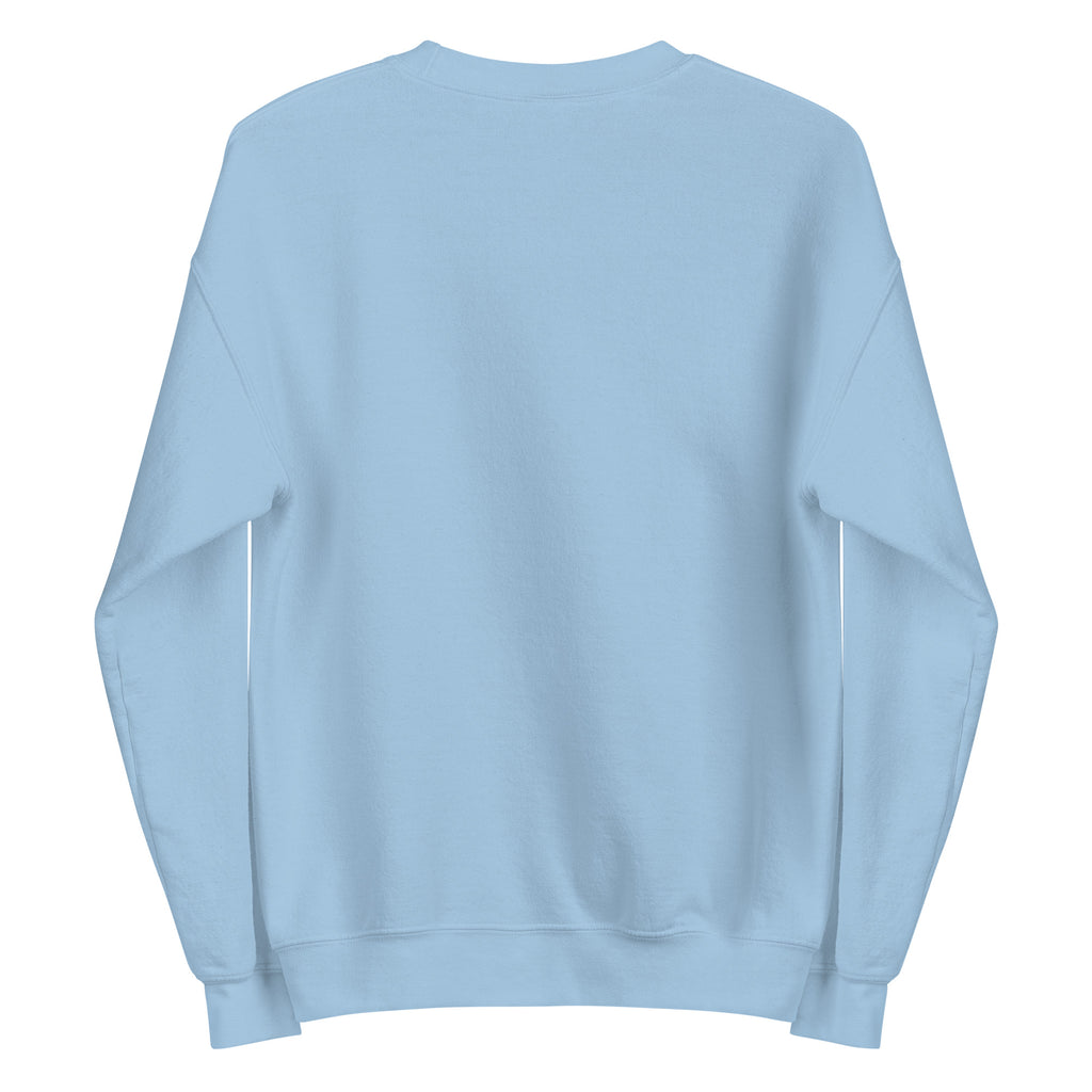 SWEATSHIRT HUBLIGO SKATER