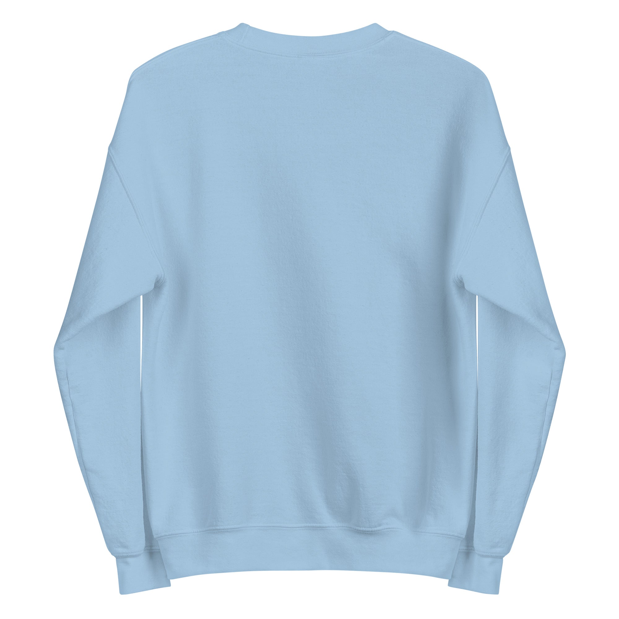 SWEATSHIRT HUBLIGO SKATER