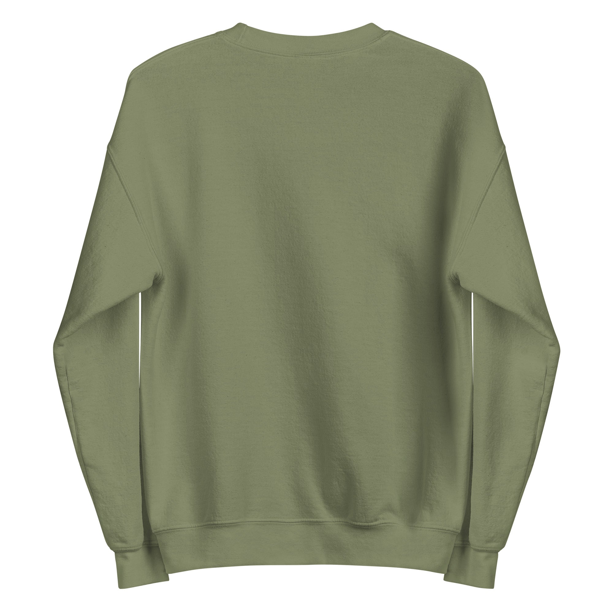 SWEATSHIRT HUBLIGO SKATER