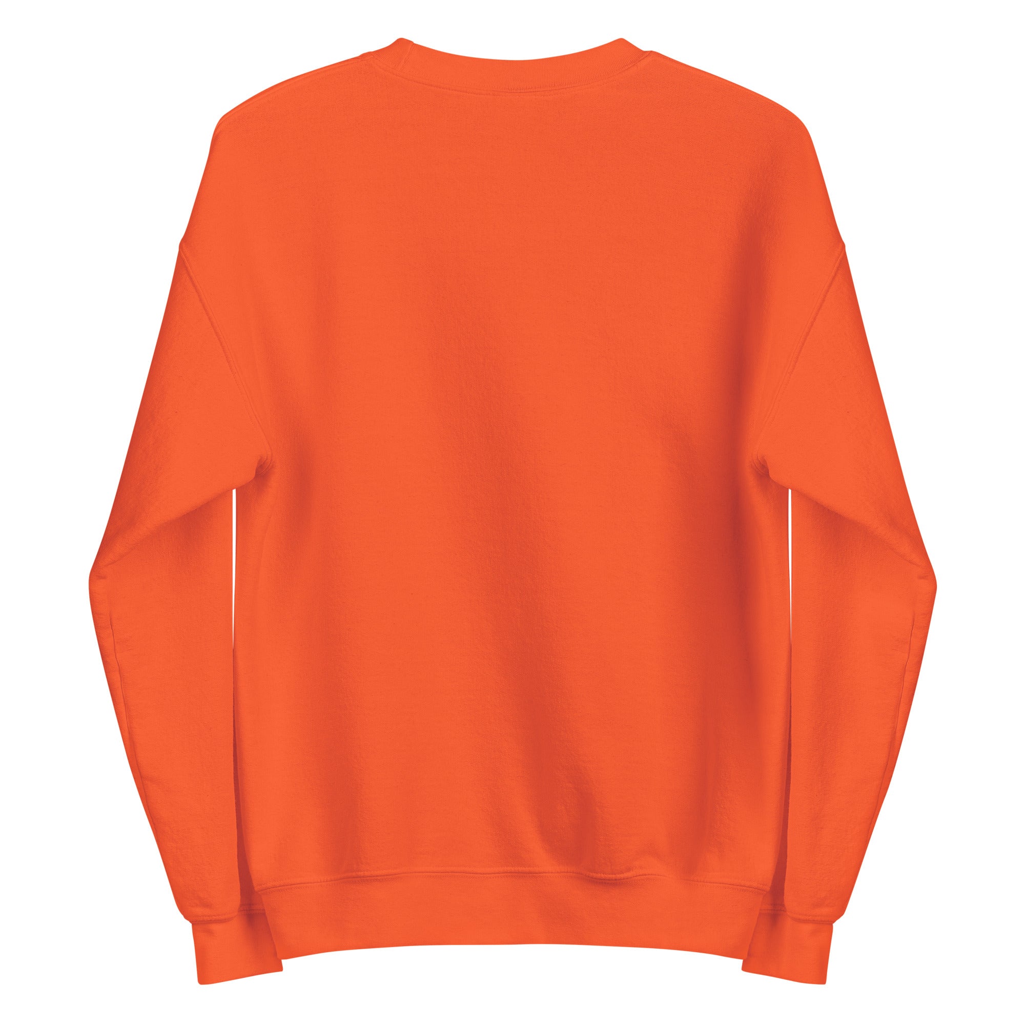 SWEATSHIRT HUBLIGO SKATER
